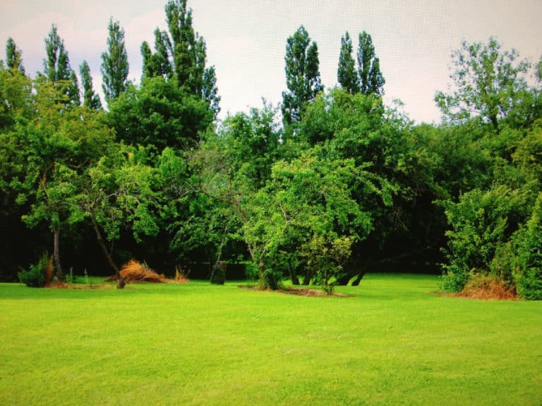 Comment bien vendre son terrain ?