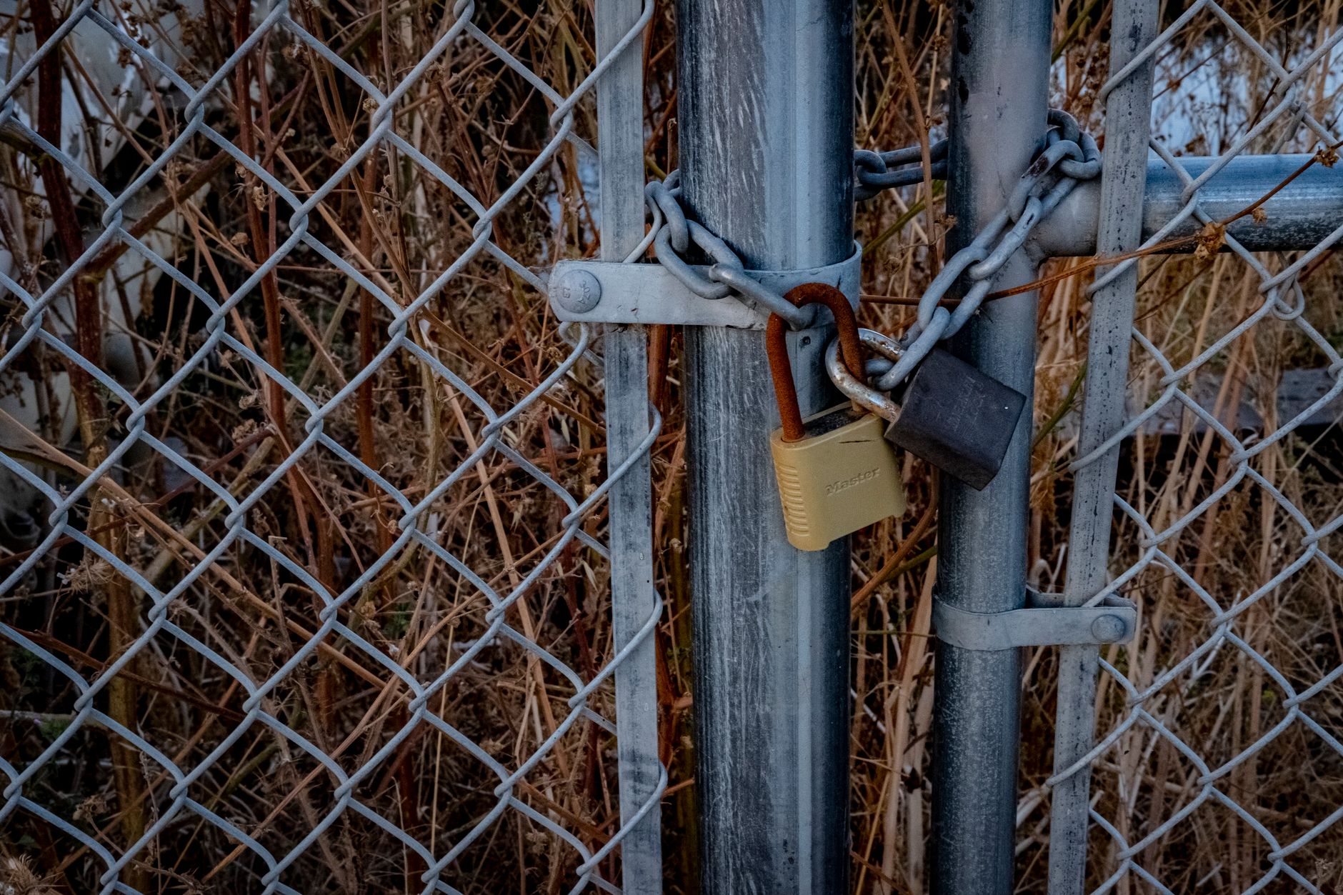 Gros plan d'une clôture en grillage avec des cadenas la sécurisant, symbolisant une haute sécurité en extérieur.